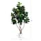8ft. Artificial Grand Fiddle Leaf Tree in White Decorative Planter